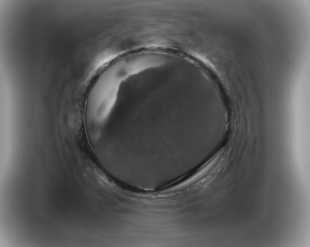 X0000087561359200704271219