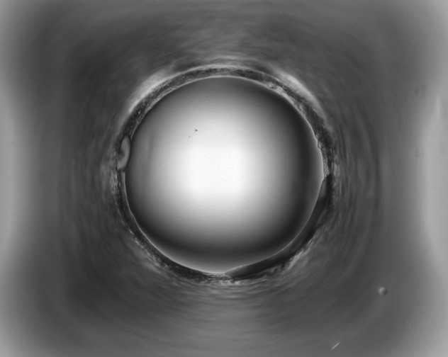 X0000087561360200704271219