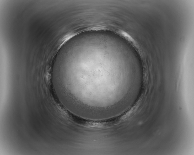 X0000087561361200704271218