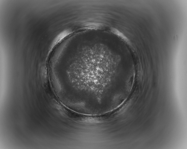 X0000087561362200704271218