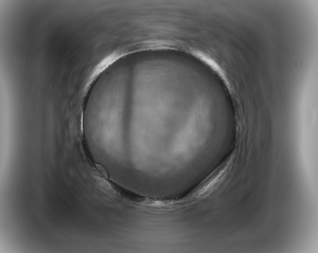 X0000087561365200704271218