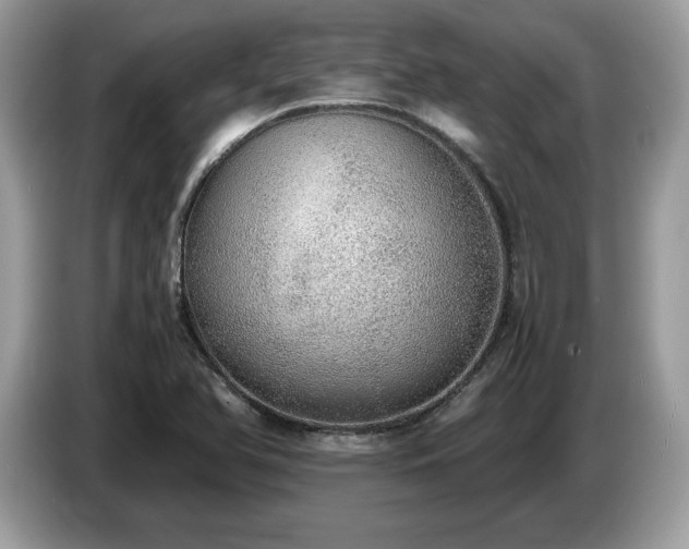 X0000087561366200704271218