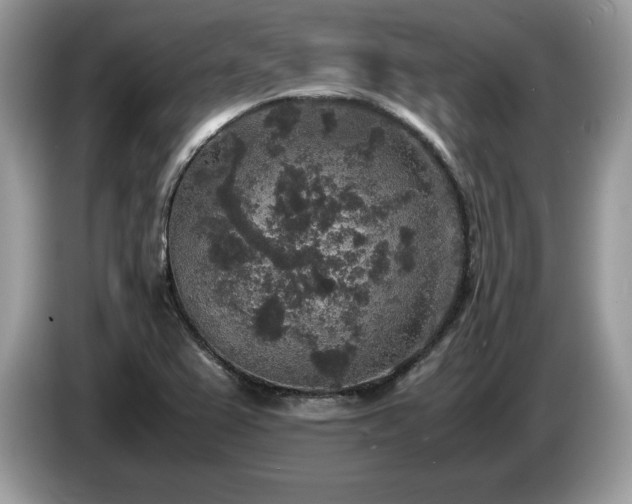 X0000087561367200704271218