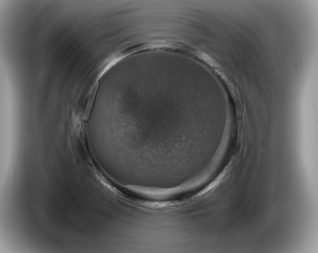 X0000087561369200704271218