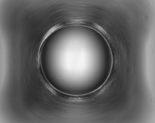 X0000087561370200704271218