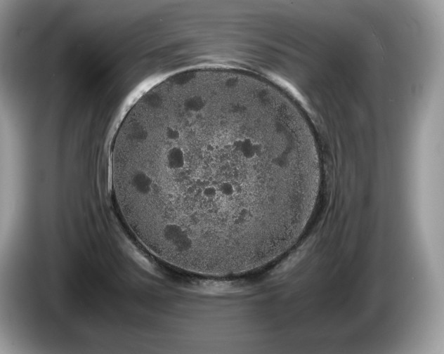 X0000087561371200704271218