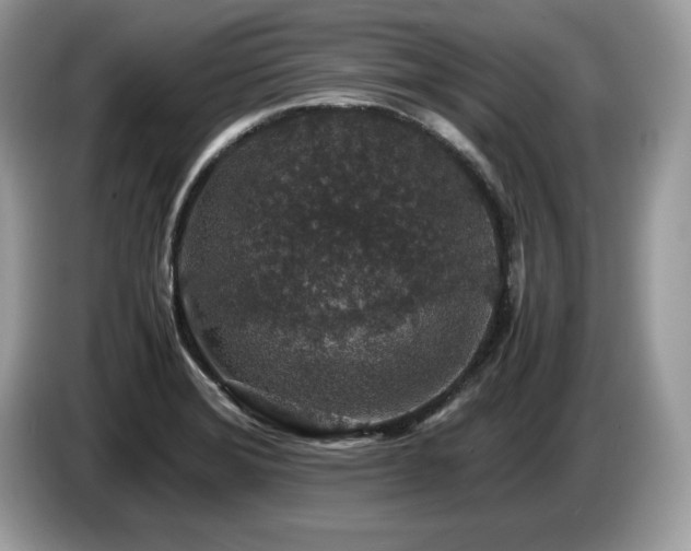 X0000087561372200704271218