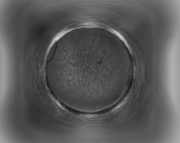 X0000087561373200704271218