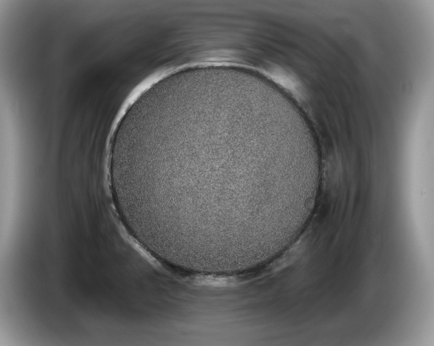 X0000087561374200704271218