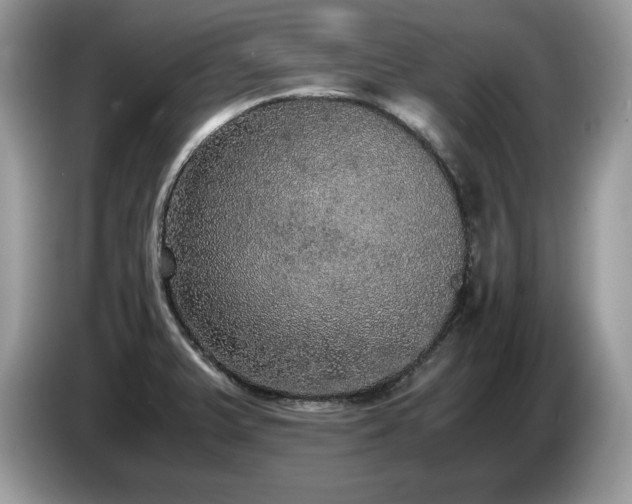 X0000087561375200704271218