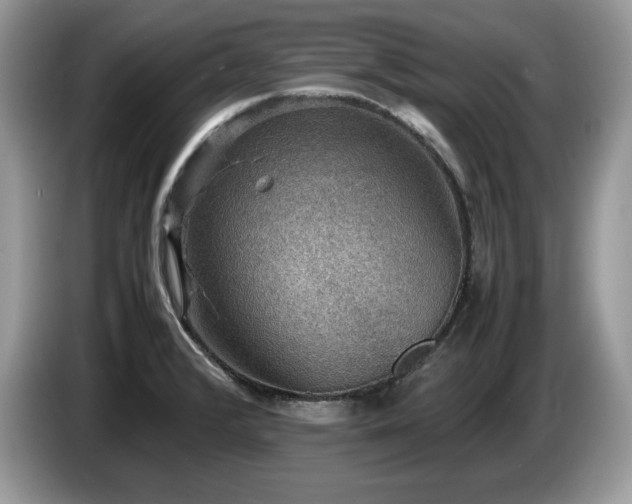 X0000087561376200704271218