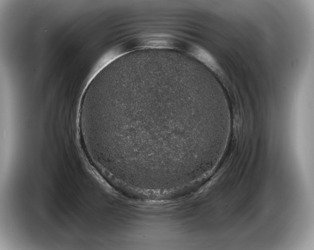 X0000087561378200704271218