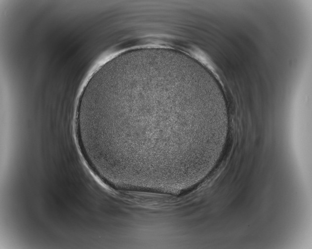 X0000087561379200704271218
