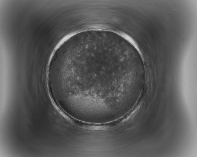 X0000087561381200704271218