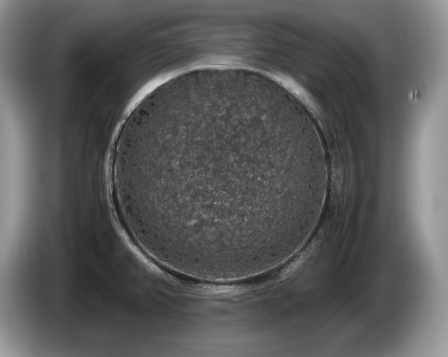 X0000087561382200704271218