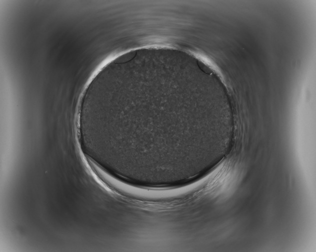 X0000087561383200704271218