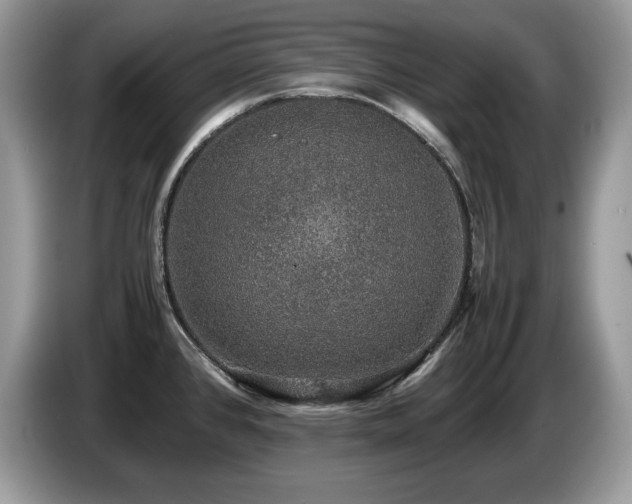 X0000087561384200704271218