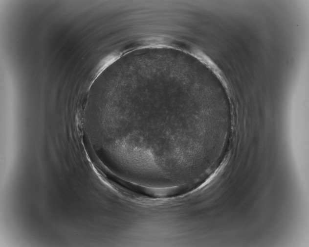X0000087561385200704271218