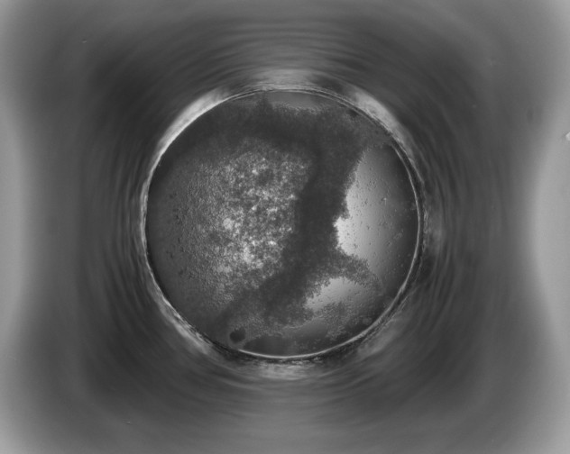 X0000087561386200704271218