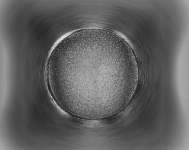 X0000087561387200704271218