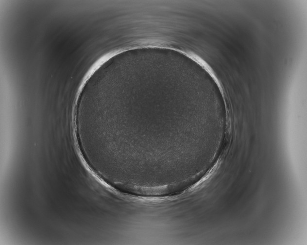 X0000087561389200704271218