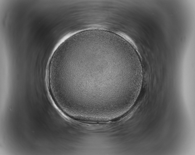 X0000087561391200704271218