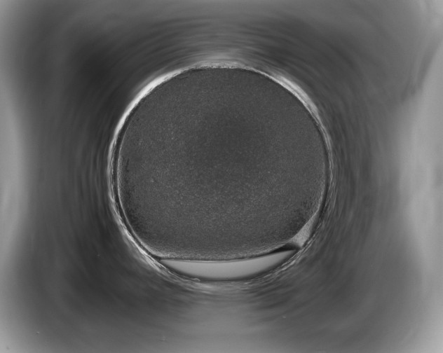 X0000087561392200704271218