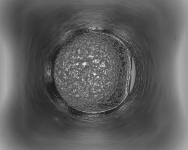 X0000087561396200704271218