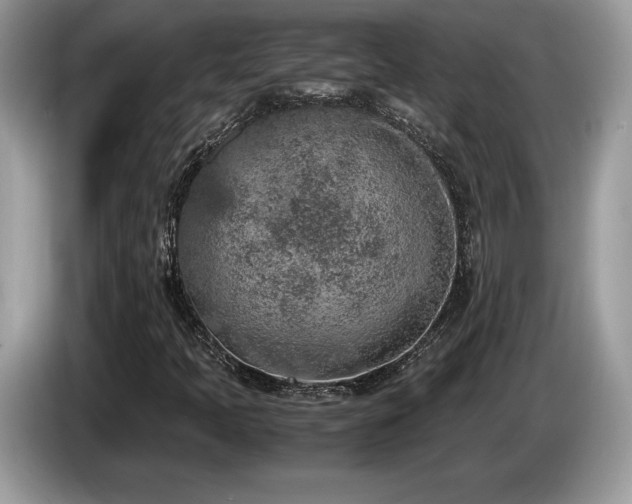 X0000087561397200704271218