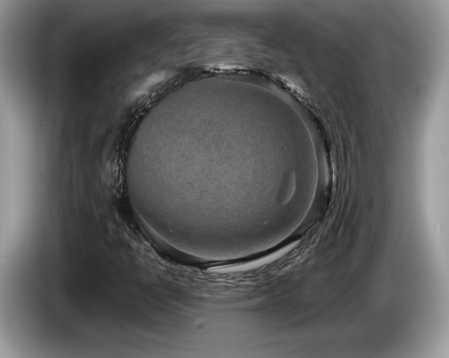X0000087561398200704271218