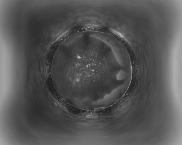 X0000087561399200704271218