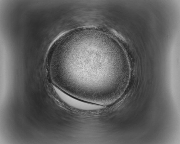 X0000087561400200704271218