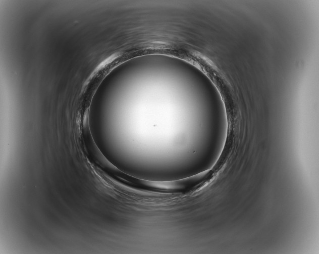 X0000087561402200704271218
