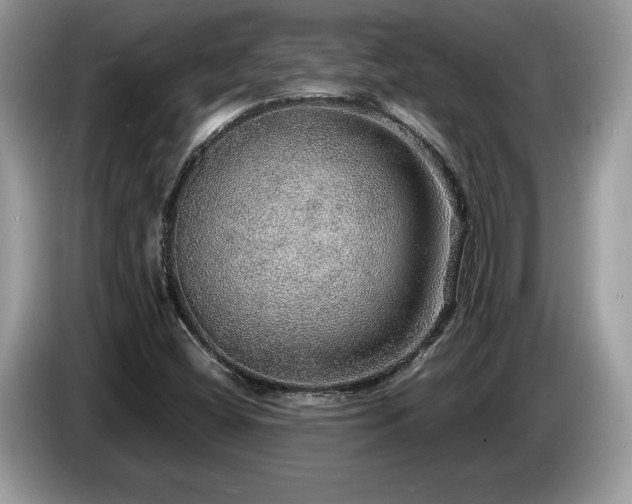 X0000087561404200704271218