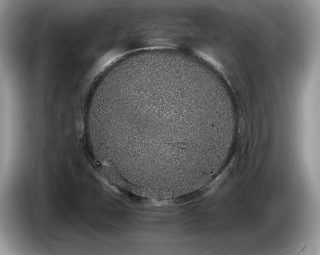 X0000087561407200704271218
