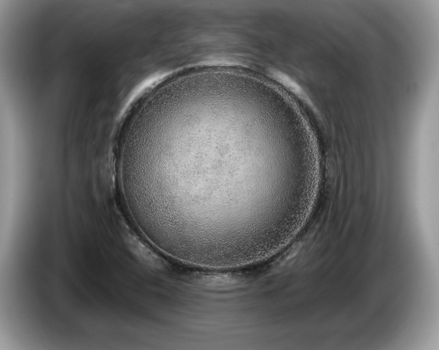 X0000087561408200704271218
