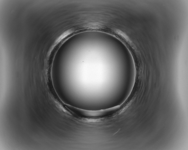X0000087561410200704271218