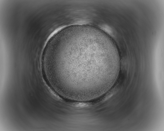 X0000087561412200704271218