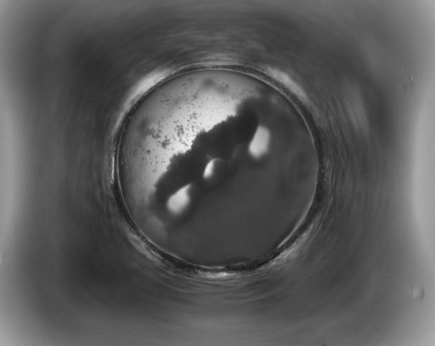 X0000087561413200704271218
