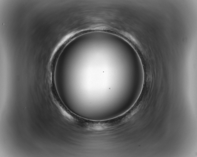 X0000087561414200704271218