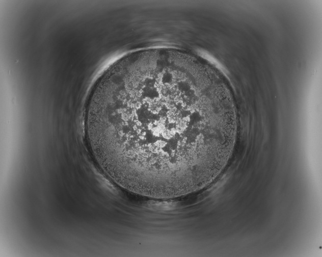 X0000087561415200704271218