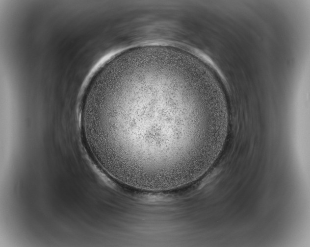 X0000087561416200704271218