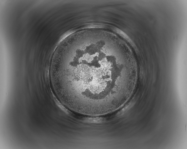 X0000087561417200704271218