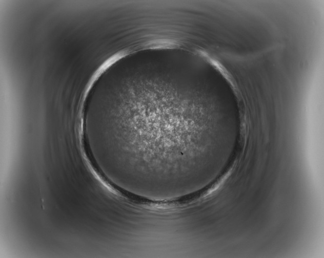 X0000087561418200704271218