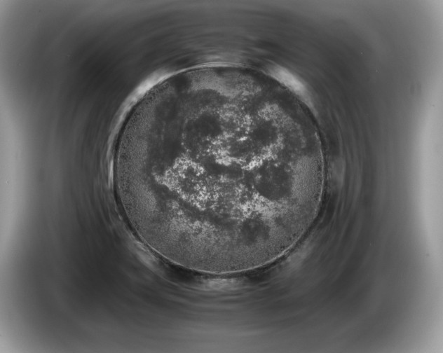 X0000087561419200704271218