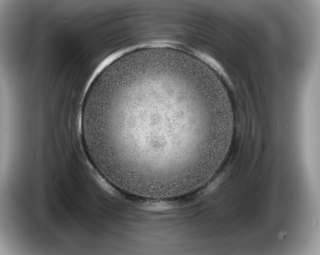 X0000087561420200704271218