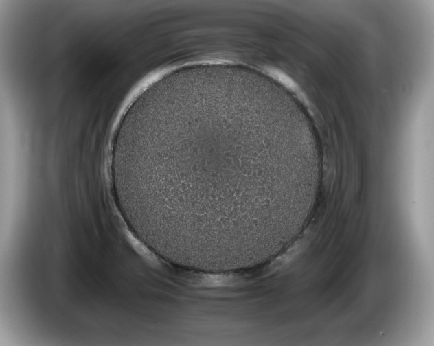 X0000087561421200704271218
