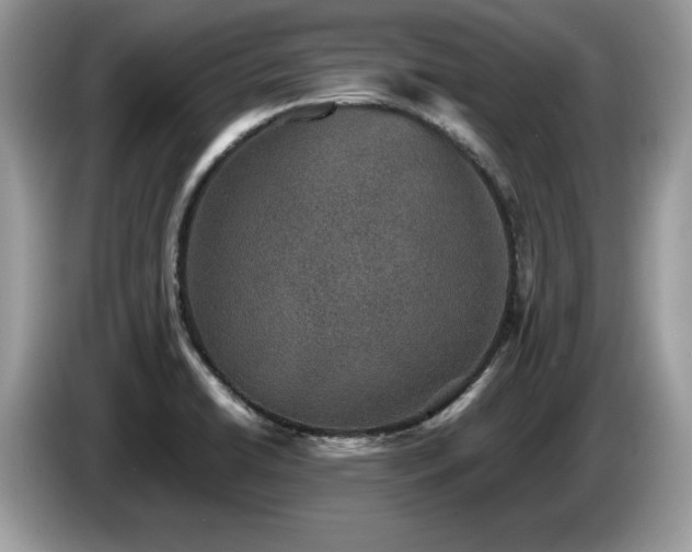 X0000087561422200704271218