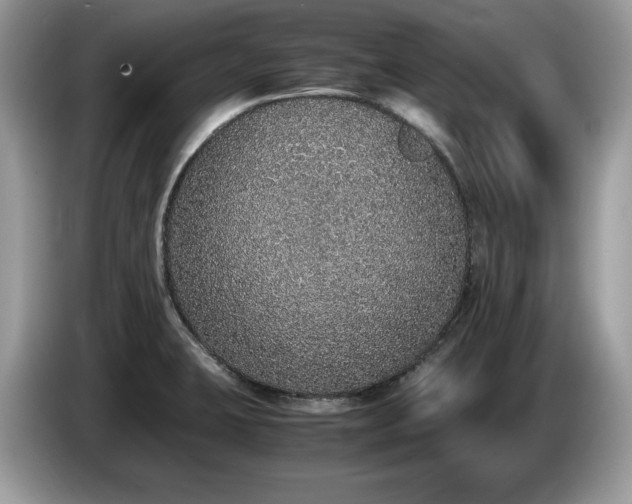 X0000087561423200704271218