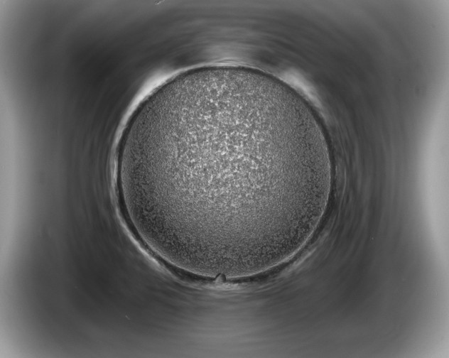X0000087561424200704271218